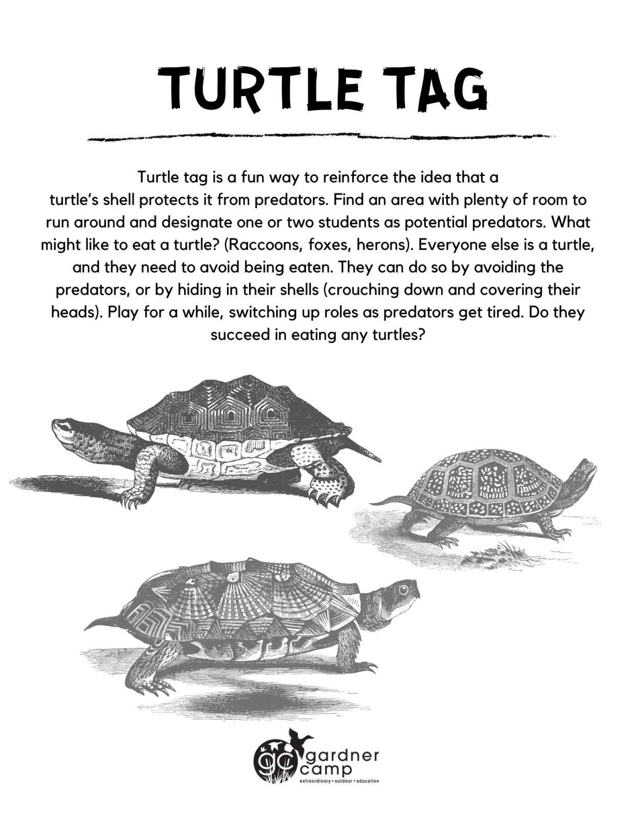 Water Wonders: Frog & Turtle Takeover - Gardner Camp