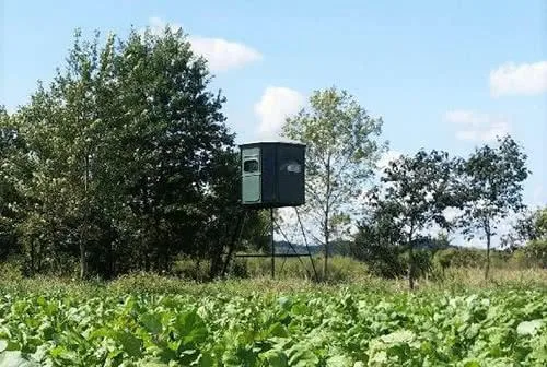 Deer Stand