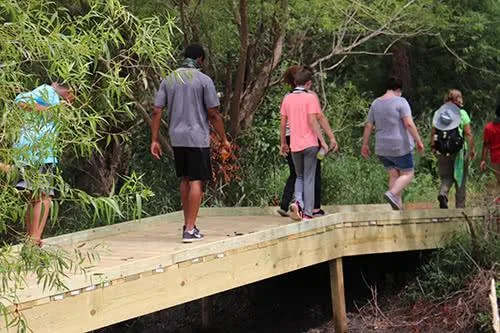 Trester Lake Trail