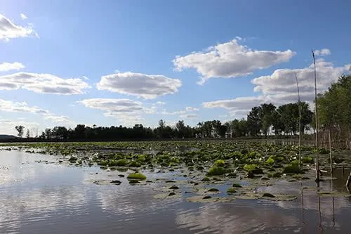 Trester Lake