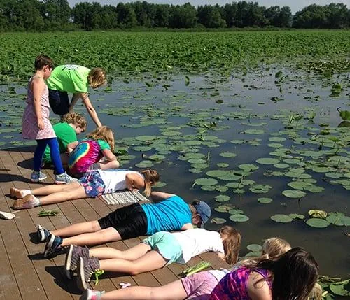 Wetland Studies Dock