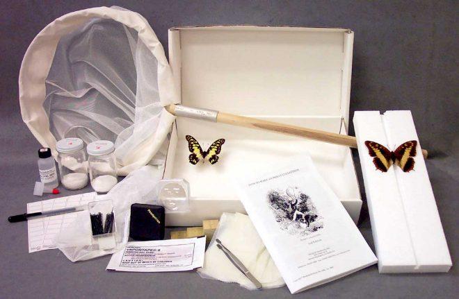 1138-001-Student-Insect-Col-660x431 Butterfly Kit