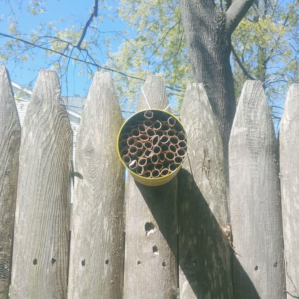 bee-house Bee House