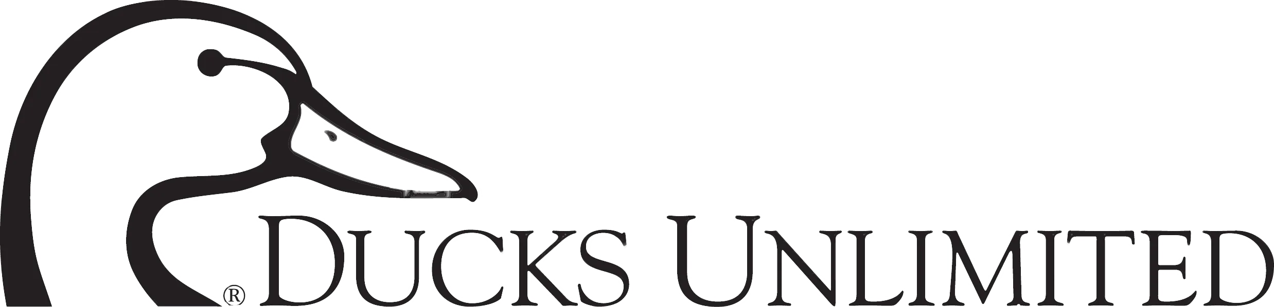 DU Horizontal logo